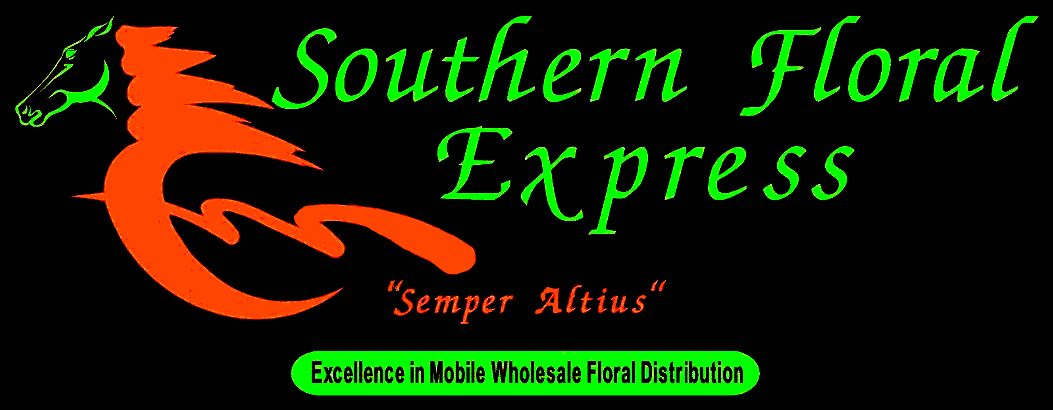 So.FLORAL Express Logo