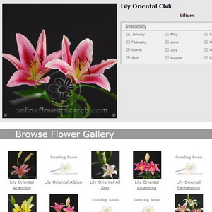 FlowerGallery