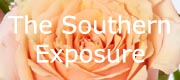 Southern Exposure Branch