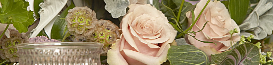 IFD_Flower_Trends_BlackTieBarefoot_BallSB_DustyMillerNewLook