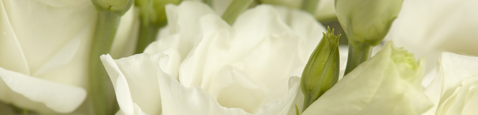 IFD_Flower_Trends_BlackTieBarefoot_RosaFlora_ABCWhiteLisianthus1