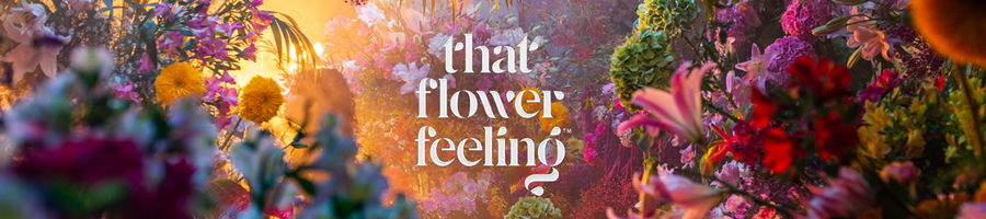 FTF ThatFlowerFeeling Banner 900x200